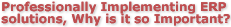 Professionally Implementing ERP solutions, Why is it so Important?