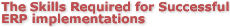 The Skills Required for Successful ERP implementations
