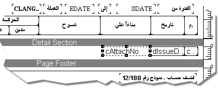 مصمم التقارير بأسواق5 يعطيك قدرة غير محدودة على تصميم و إطلاق تقارير متنوعة
