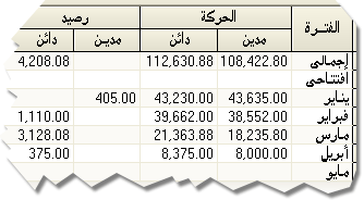 الأرصدة و الحركات التفصيلية بدليل الحسابات