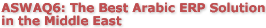 ASWAQ6: The best Arabic ERP solution in the Middle East